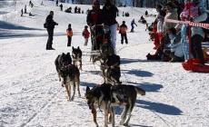 Traversata, giri in slitta e storie: una giornata con gli husky