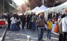 Quartieri e Frazioni: la voce dei cittadini