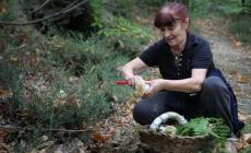 Per monti e per funghi a passo di trekking