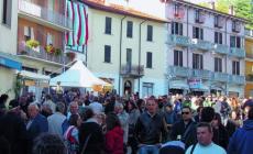 La castagna superstar alla sagra di Bore