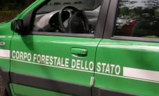 Rischio incendi, l'allarme  dei sindacati dei vigili del fuoco