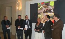 November Porc, un successo che può ancora migliorare