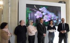 La Riserva dei Ghirardi, biodiversità sull'Appennino