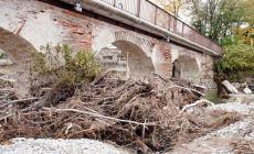 Tronchi nell'alveo del Baganza: paura nel quartiere Montanara