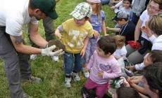 E i bambini liberano la famiglia di ricci