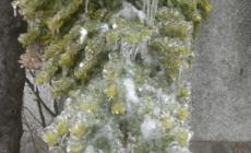 Allarme ghiaccio in montagna: frazioni isolate a Bedonia