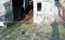 La bomba di Casaselvatica non fa più paura