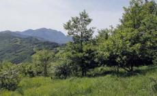 Sentieri - Dove la natura è alleata dell'uomo