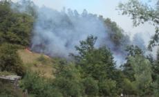 Tarsogno, un incendio ha divorato due ettari di bosco di cerri e castagni
