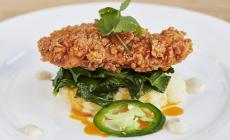 Prodotta la carne sintetica di pollo e di anatra