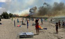 Fiamme a Capalbio: evacuati due campeggi. Stop ai treni