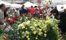 Festa con "Canossa Terra e Tavola"