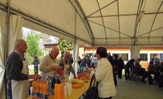 Giochi e gare di torte all'ombra del campanile