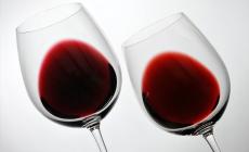 Degustazione vini di Puglia