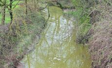 Inquinamento, liquami nel Cinghio