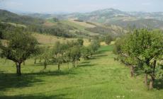  Via libera all'etichettatura "Prodotto di montagna"
