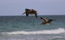 La tua personale sul web - I fotografi si mettono in mostra