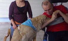 Dog therapy per ritrovare il sorriso