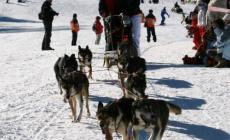Con i cani da slitta assaggio di Alaska sul crinale