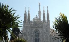 Le palme in Piazza Duomo dividono Milano e il web