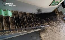 Scuola devastata: denunciati adolescenti "annoiati" 