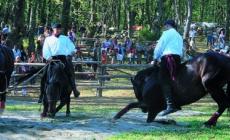 La fiera "cavalca" l'onda del successo