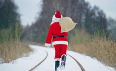 Reggio: i lupi sbranano le renne di Babbo Natale