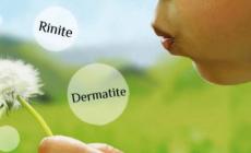 Analisi dei sintomi e test mirati per scoprire l’allergene responsabile