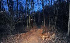 Solstizio sotto le stelle al Parco