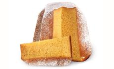 Nasce in Italia il primo Pandoro realizzato con gli insetti