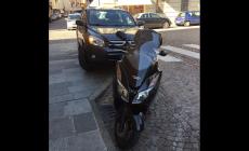 "Scena giornaliera del Maria Luigia"