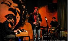 Michele Marini Organic Trio