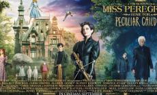 Il cinema di sera al Circolo il Portico