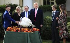 Trump, come tradizione,  grazia due tacchini per Thanksgiving