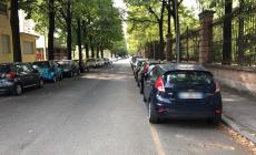 Insegue il topo d'auto e lo fa arrestare dai poliziotti 