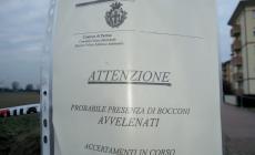 Bocconi avvelenati: nuovo allarme in via Capelluti