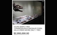 Il baby T-rex in vendita su eBay a 3 milioni di dollari