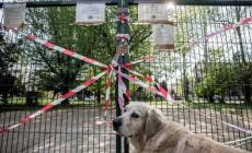 Altri bocconi in Piazzale Lubiana: la rabbia dei proprietari di cani