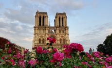 Notre Dame nel cuore, le foto ricordo dei  lettori. Inviate anche le vostre