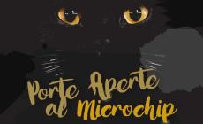 Gatti, il 13 aprile il microchip è gratis