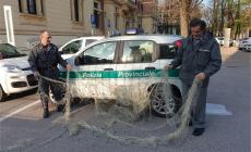 Sventato bracconaggio fluviale nel Taro,  sequestrata una rete da pesca di 80 metri