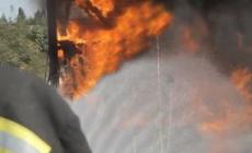 Incendio in una stalla:  bruciano  250 mucche