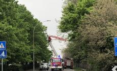 Vigili del fuoco  al lavoro in via Cremonese 