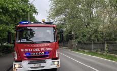 In centinaia cercano una bimba di 5 anni scomparsa nei boschi in provincia di Campobasso