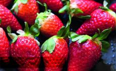 Fragole a tavola: sette  italiani su dieci sono  delusi dal sapore