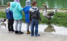 La mascotte del parco