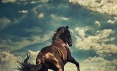 Torna Springsteen... in stile Burt Bacharach: Western Stars esce il 14 giugno