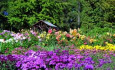 Una passione senza et&agrave; per numerosi italiani