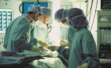 Al Maggiore chirurgia  facciale su teste  congelate 