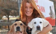 L'Interspar diventa amico degli animali